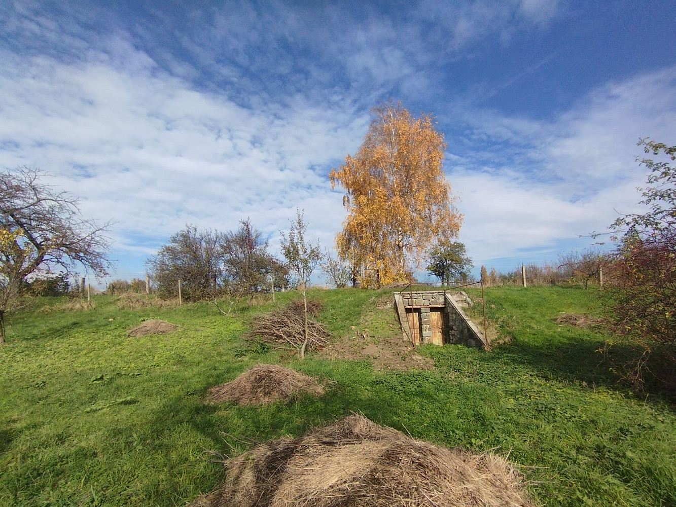 Fotka 13 z 17