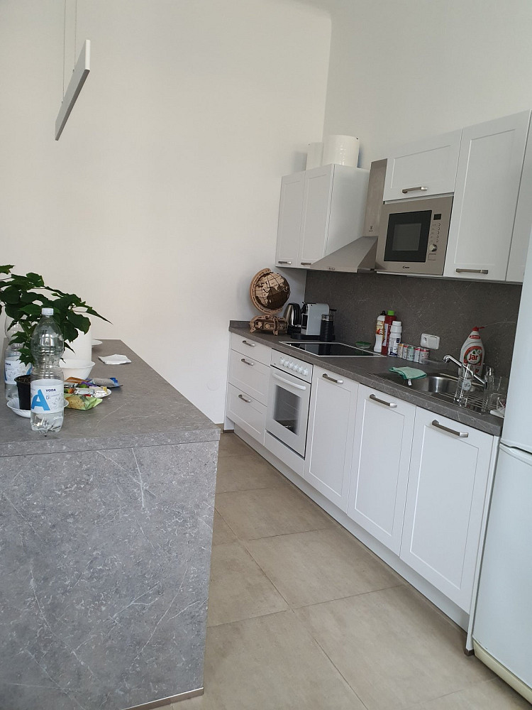 Pronájem bytu 2+kk 65 m² — photo 4