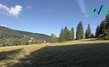 Prodej louky 25 316 m², Pernink, okres Karlovy Vary