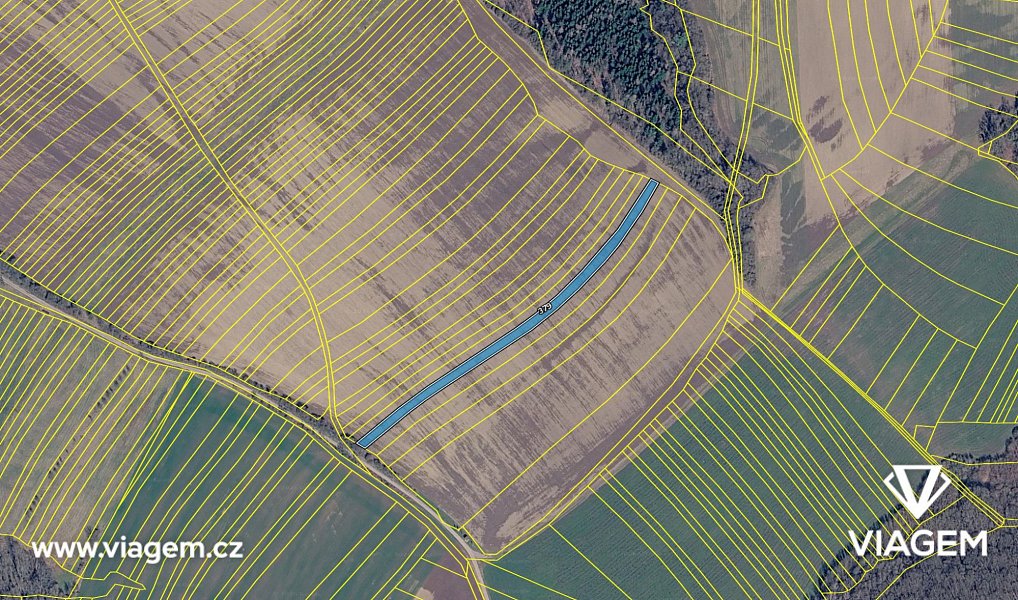 Prodej pole 1 578 m², Dobrkovice – náhled fotky 4