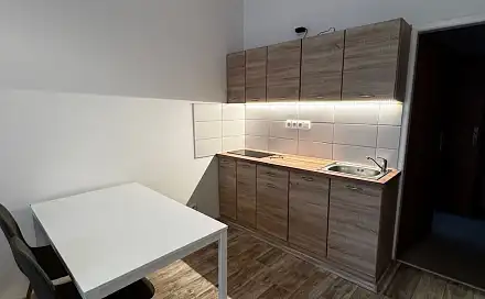 Pronájem bytu 1+kk 24 m²