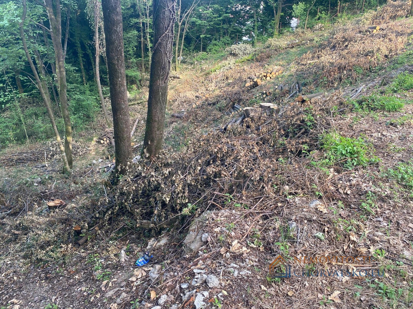 Prodej stavebního pozemku 1 370 m² - Mehr