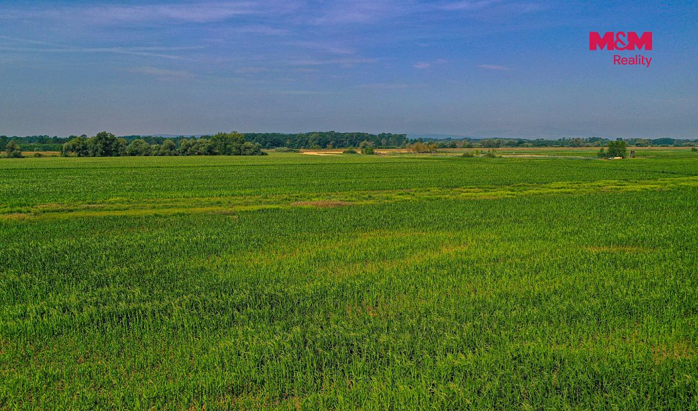 Prodej pole 9 227 m², Podivín – náhled fotky 4