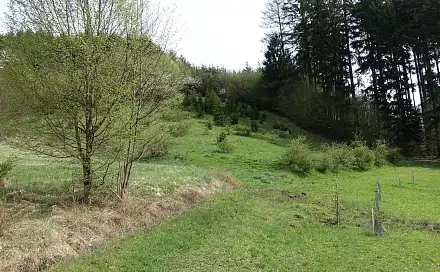 Prodej louky 7 095 m², Halenkov, okres Vsetín