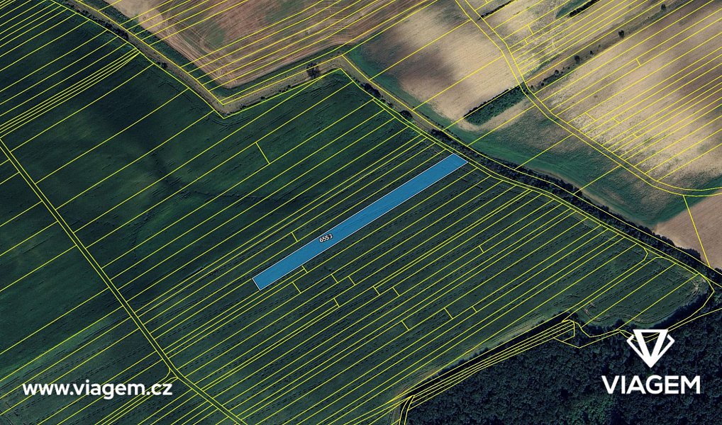 Prodej pole 6 419 m², Hovorany – náhled fotky 4
