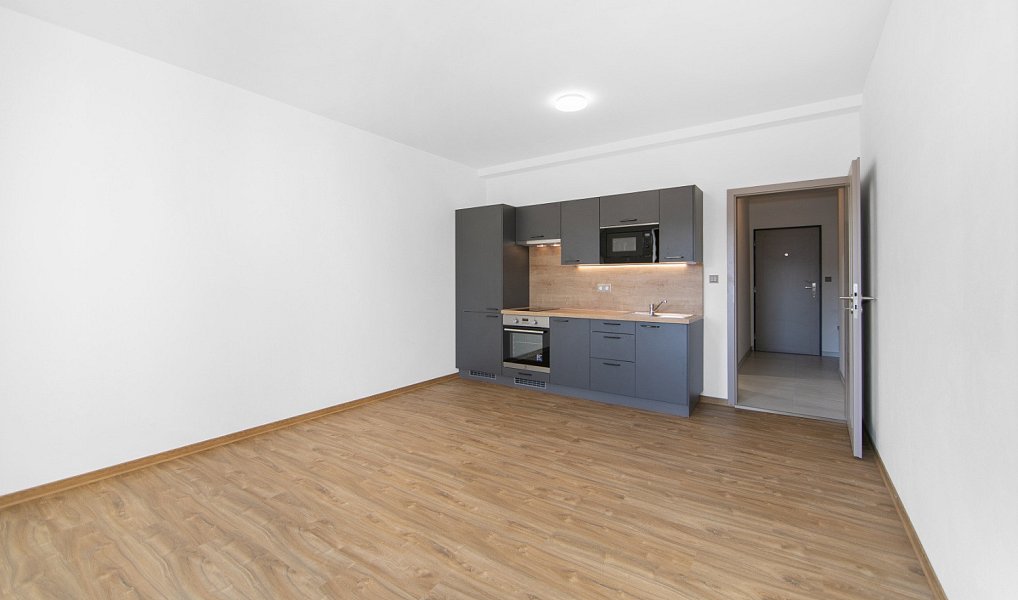 Pronájem bytu 1+kk 29 m², Zruč-Senec – náhled fotky 3