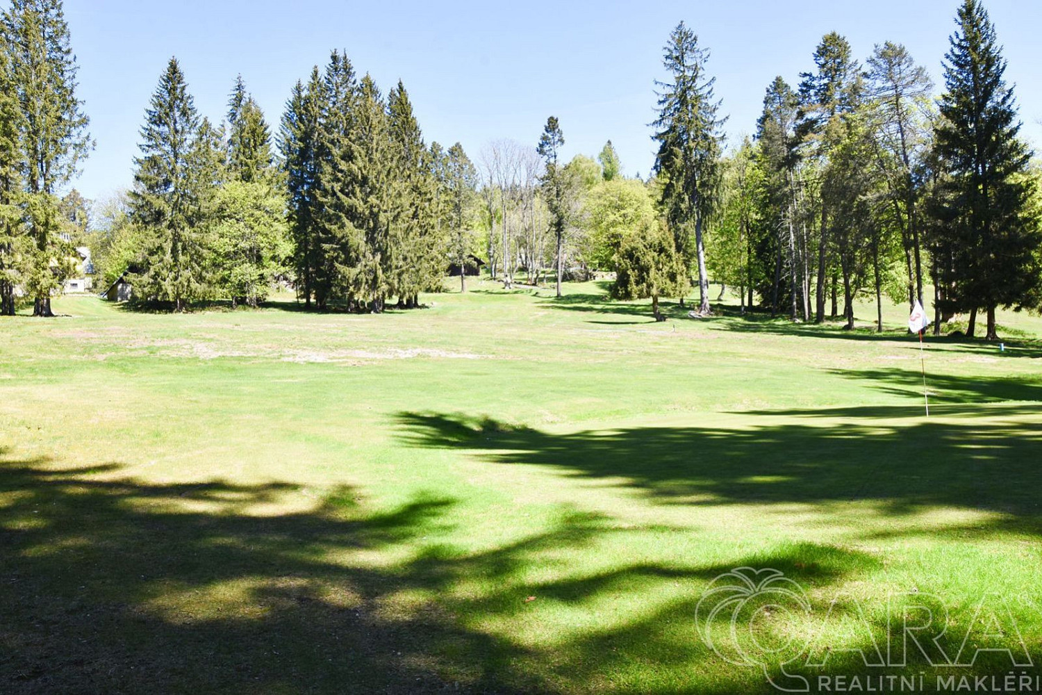 Prodej stavebního pozemku 17 770 m² – fotografie 3