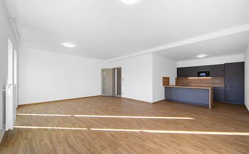 Pronájem bytu 1+kk 62 m², Bolevecká, Plzeň