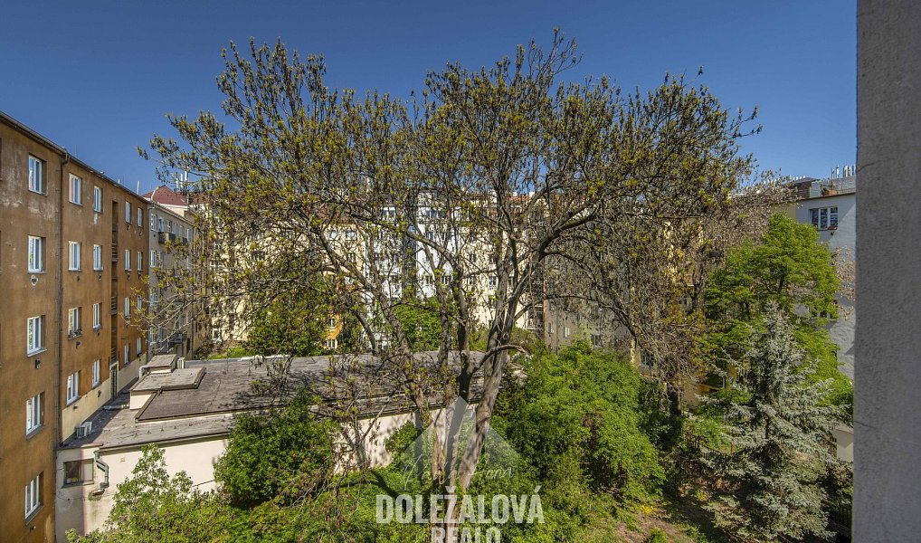 Prodej bytu 1+kk 25 m², Praha – náhled fotky 33