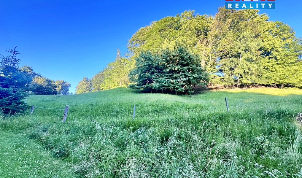 Prodej louky 5 449 m², Teplice nad Metují – náhled fotky 2