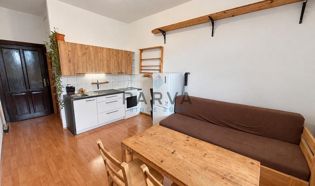 Pronájem bytu 1+kk 26 m², Plzeň – náhled fotky 3
