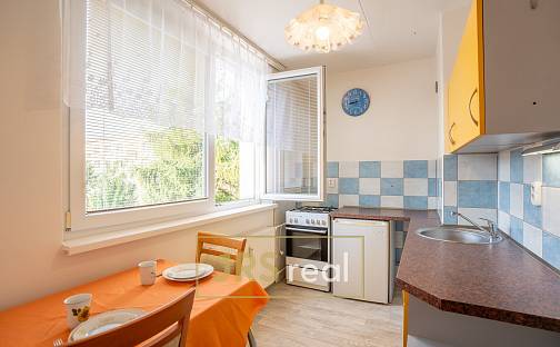 Prodej bytu 2+1 46 m², U Větrolamu, Hustopeče, okres Břeclav