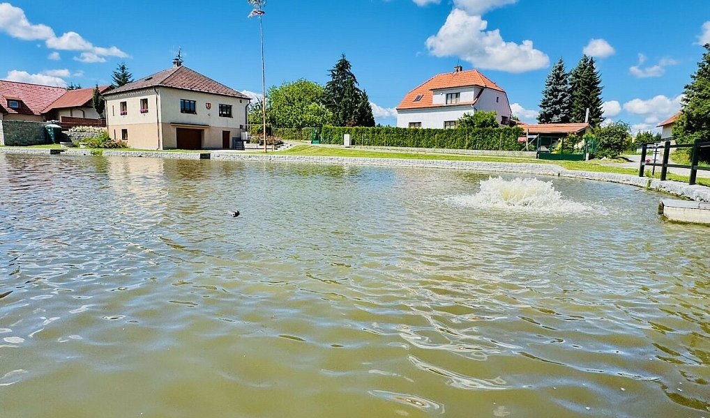 Prodej domu 149 m² s pozemkem 1 042 m², Svojetice – náhled fotky 30