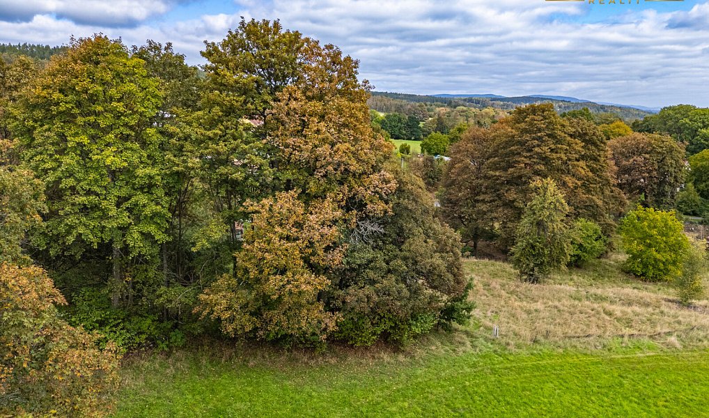 Prodej stavebního pozemku 3 300 m², Dolní Nivy – náhled fotky 19