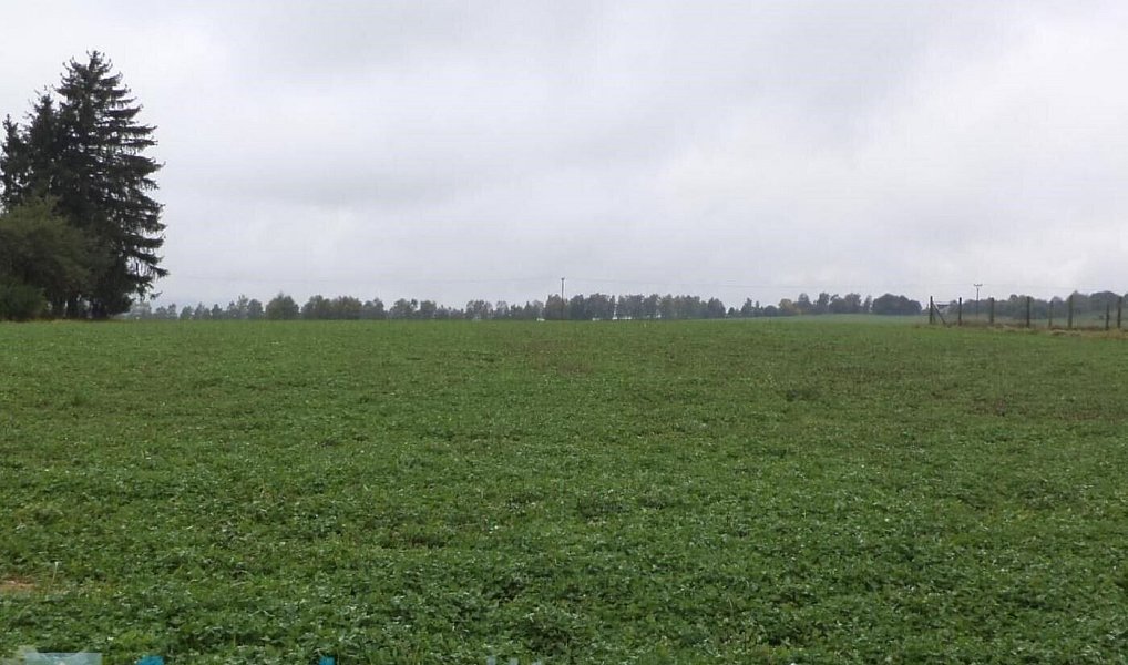 Prodej pozemku 497 m², Ločenice – náhled fotky 3