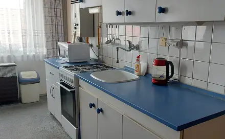 Prodej bytu 1+1 43 m², Smetanova, Louny