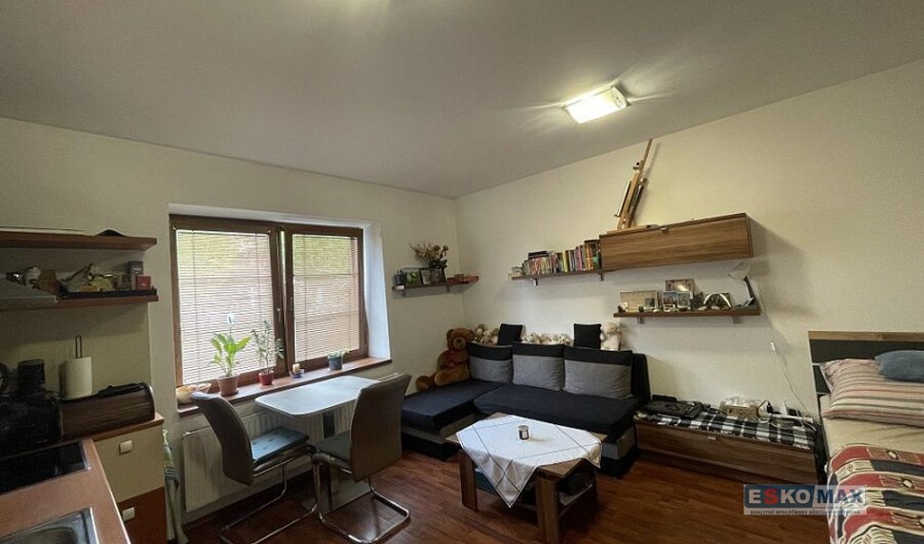 Pronájem bytu 1+kk 27 m², Břeclav – náhled fotky 6