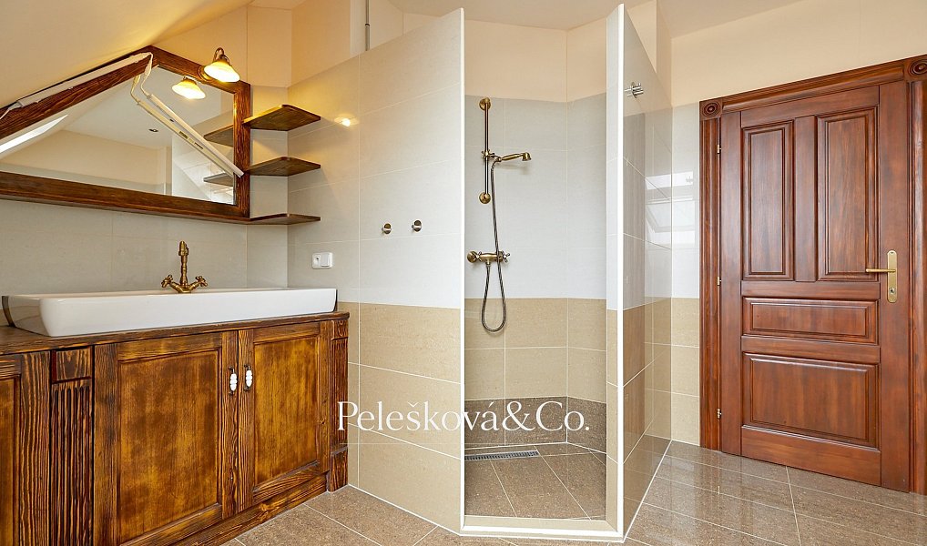 Pronájem bytu 4+kk 177 m², Praha – náhled fotky 8