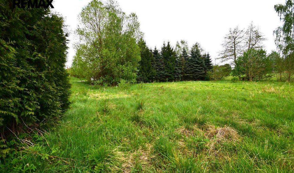 Prodej stavebního pozemku 993 m², Kostelní Radouň – náhled fotky 6