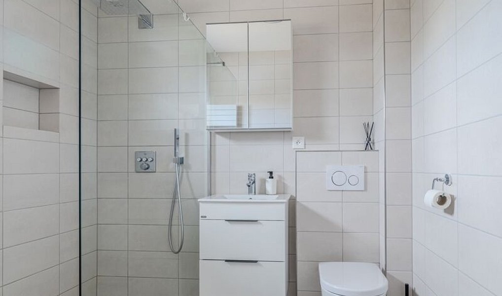 Prodej domu 117 m² s pozemkem 578 m², Záchlumí – náhled fotky 16