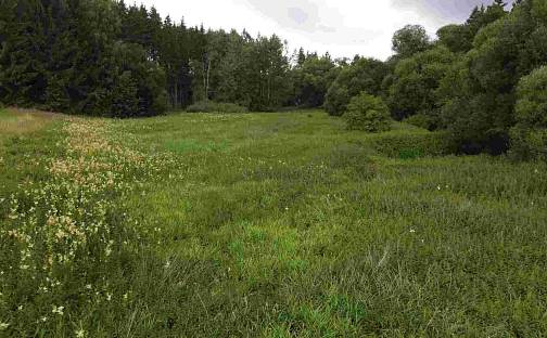 Prodej pole 22 334 m², Chýnov - Dobronice u Chýnova, okres Tábor