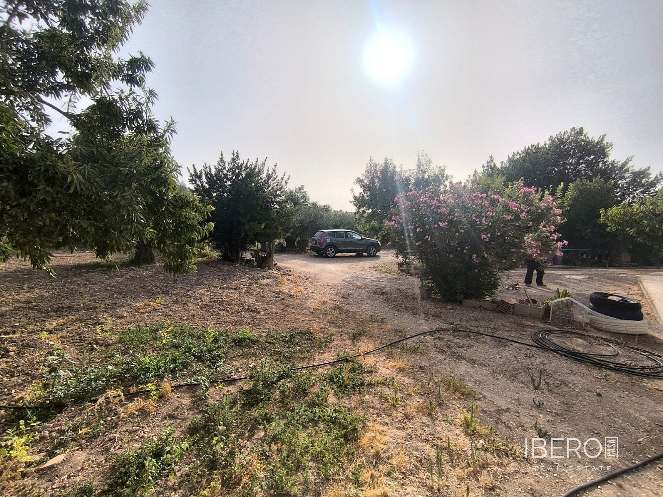 Casa 4+kk – el Pinós / Pinoso - Vista 4