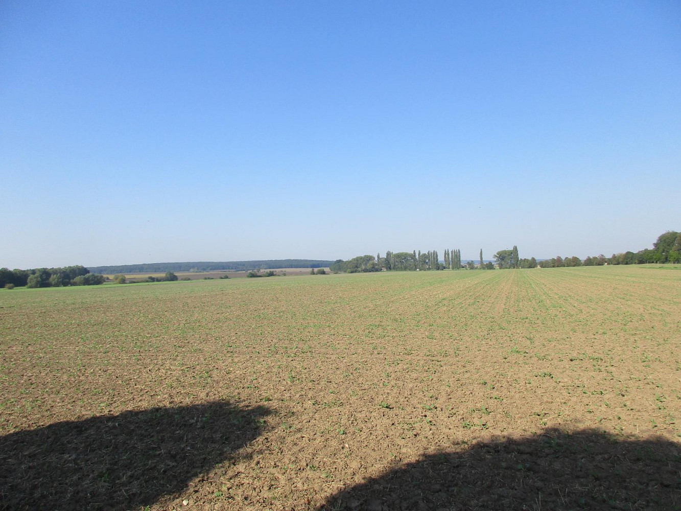 Prodej pole 7 913 m² – fotografie 2