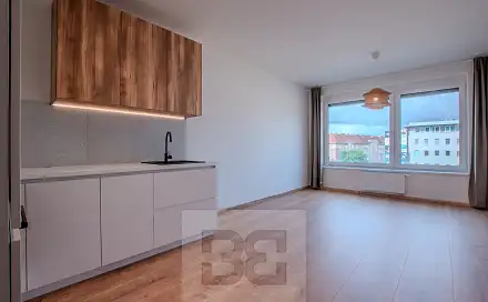 Pronájem bytu 1+kk 36 m²