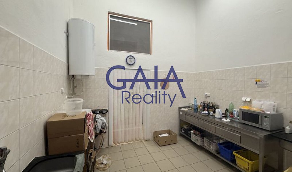 Prodej obchodních prostor 600 m², Dačice – náhled fotky 6