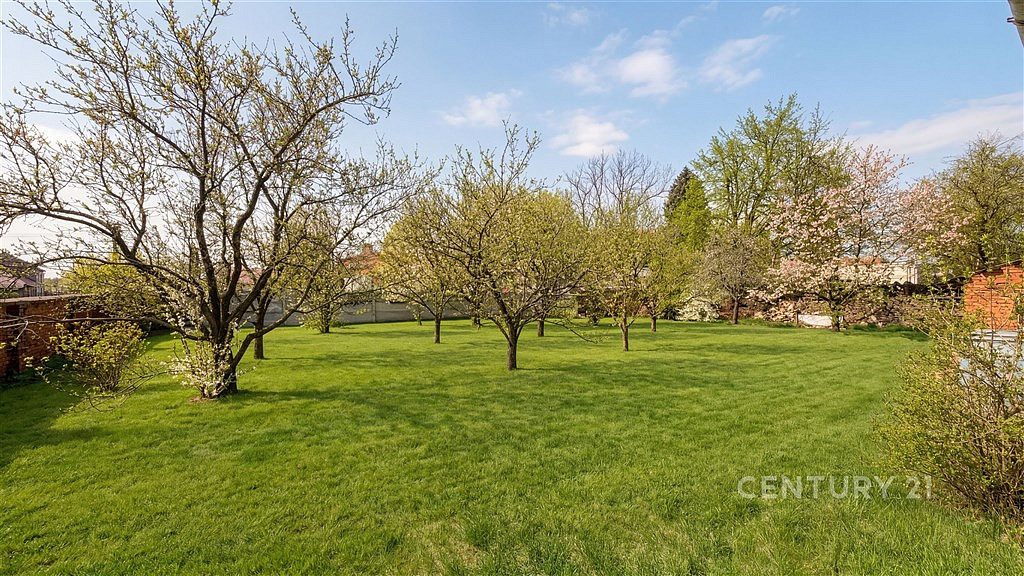 Prodej domu 366 m² s pozemkem 1 404 m² — photo 4