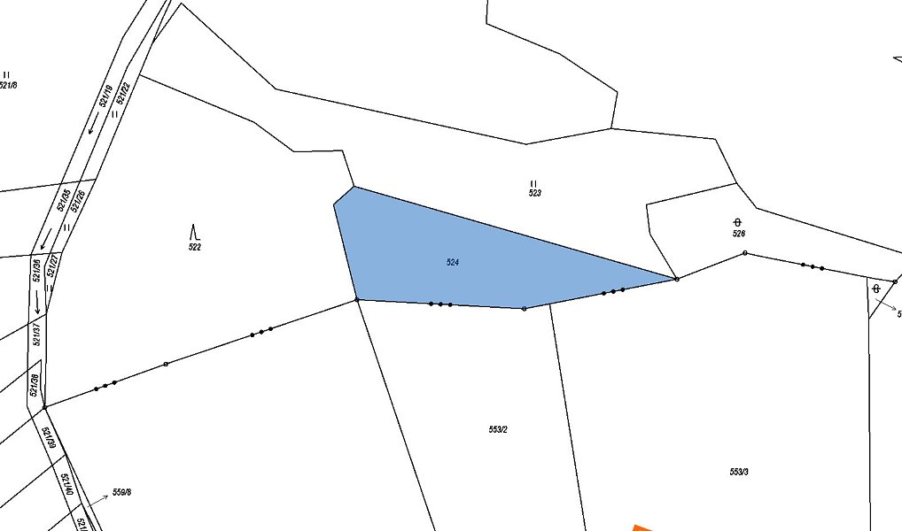 Prodej pozemku 2 757 m², Petříkov – náhled fotky 8