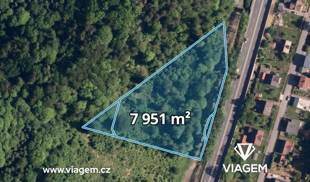 Prodej lesa 15 009 m², Metylovice – náhled fotky 5