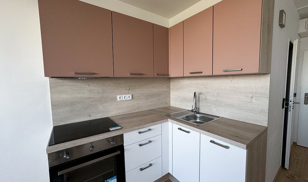 Pronájem bytu 1+kk 25 m², Praha – náhled fotky 3