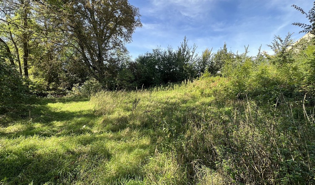 Prodej stavebního pozemku 9 180 m², Ledce – náhled fotky 20