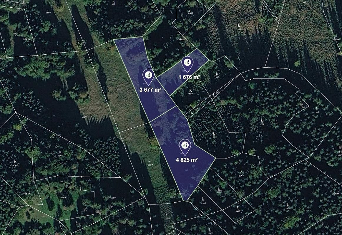 Prodej louky 10 178 m²