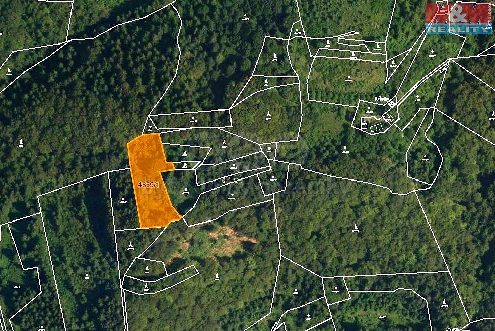 Prodej lesa 5 001 m² – pohled 4