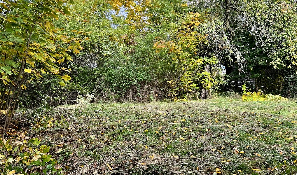 Prodej domu 300 m² s pozemkem 551 m², Praha – náhled fotky 4