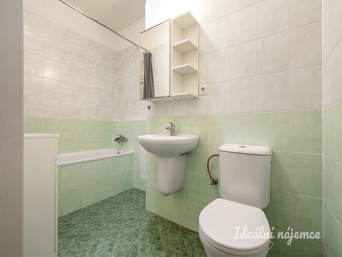 Pronájem bytu 1+kk 30 m² – další