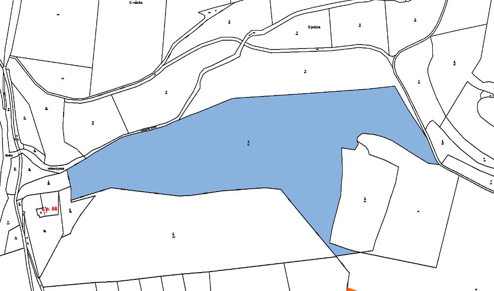 Prodej lesa 3 200 m², Mirovice – náhled fotky 2