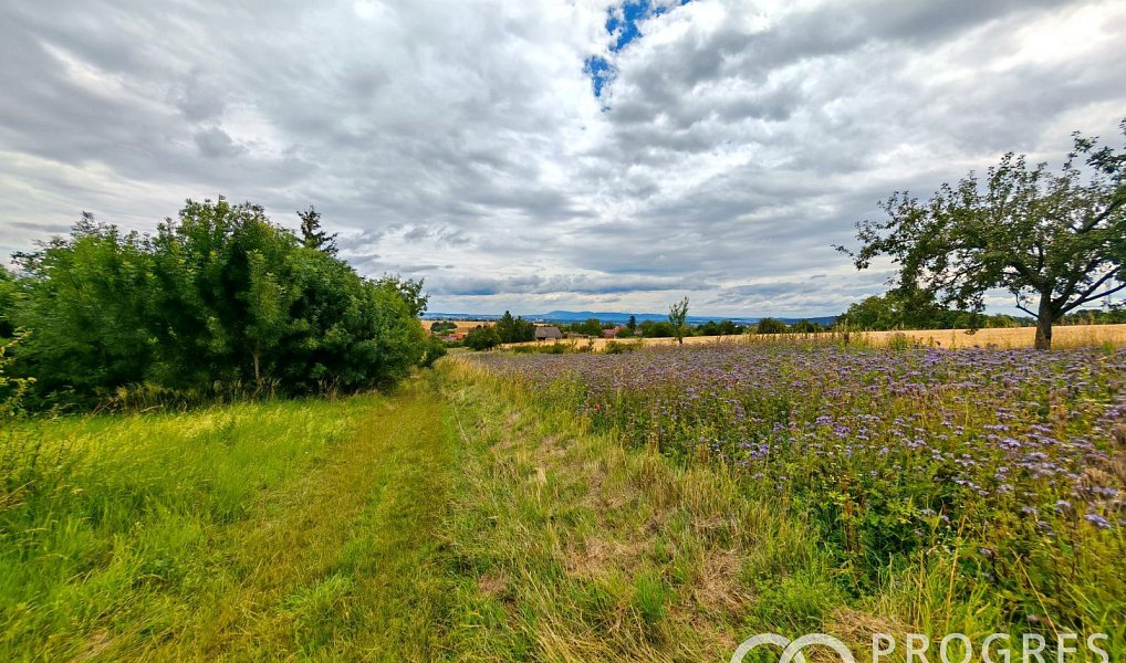 Prodej domu 160 m² s pozemkem 523 m², Rataje – náhled fotky 24