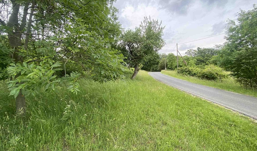 Prodej pole 12 772 m², Třebívlice – náhled fotky 2