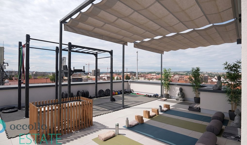 Pronájem bytu 2+kk 38 m², Plzeň – náhled fotky 15