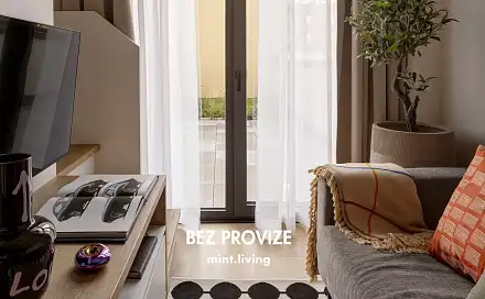 Pronájem bytu 1+kk 30 m²