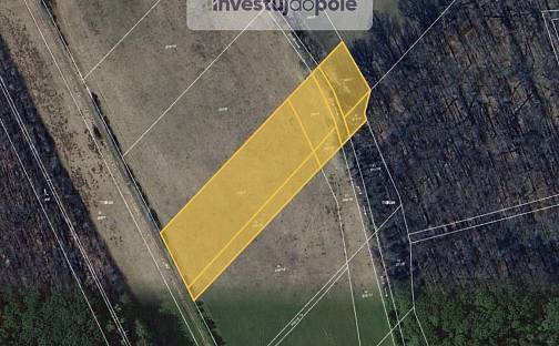 Prodej pole 9 057 m², Kovač, okres Jičín