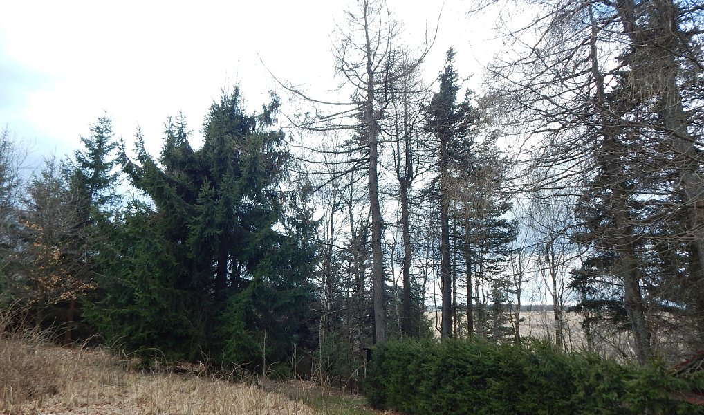 Prodej chaty/chalupy 50 m² s pozemkem 308 m², Moldava – náhled fotky 7