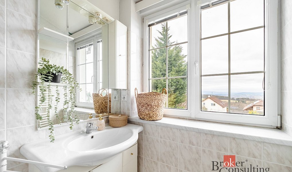 Prodej domu 230 m² s pozemkem 1 214 m², Srubec – náhled fotky 14