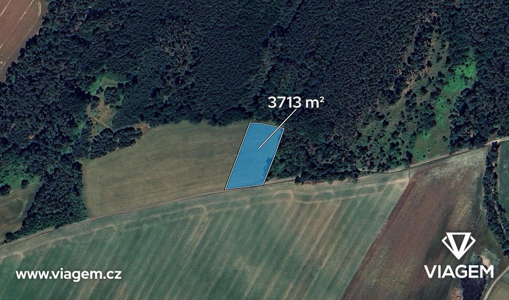 Prodej pole 3 713 m², Velký Borek – náhled fotky 2