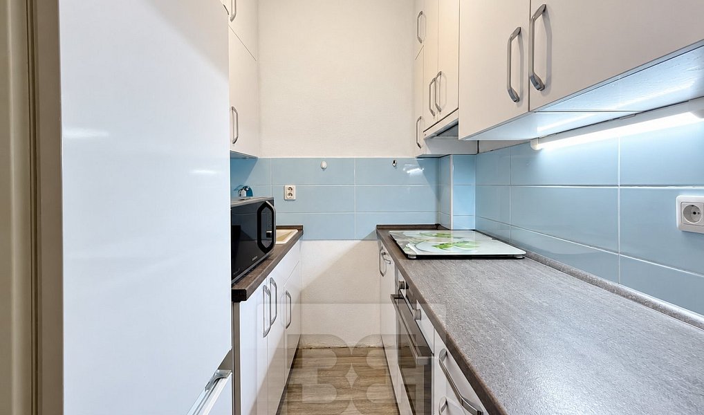 Pronájem bytu 2+1 47 m², Praha – náhled fotky 10
