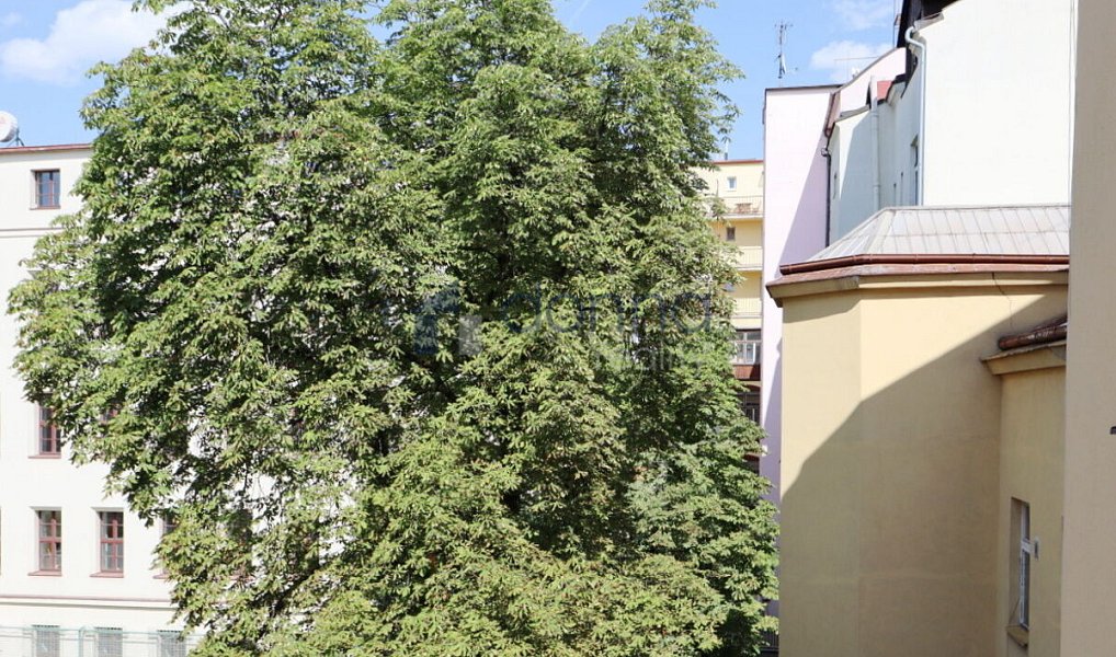 Pronájem bytu 3+1 118 m², Praha – náhled fotky 13