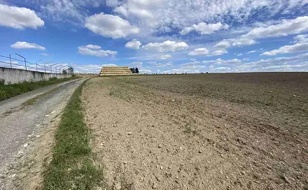 Prodej komerčního pozemku 11 096 m², Česká Bělá, okres Havlíčkův Brod